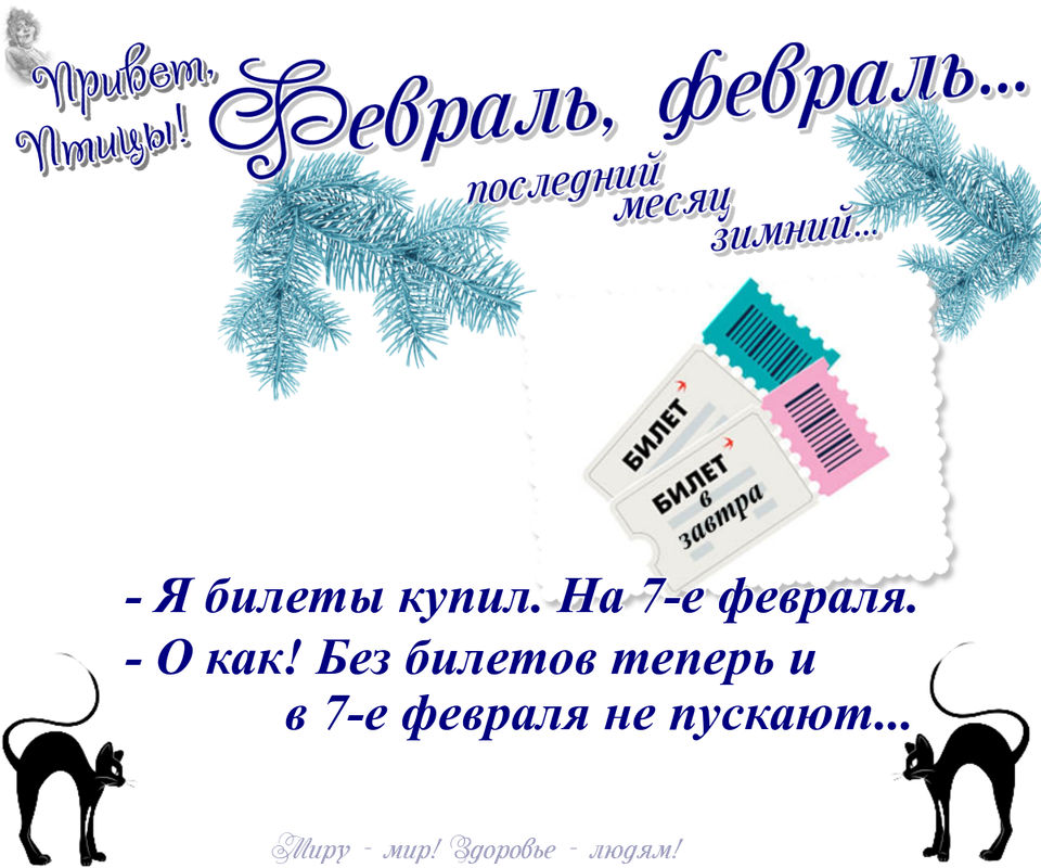 https://i.postimg.cc/Twgt16qN/07-02.png