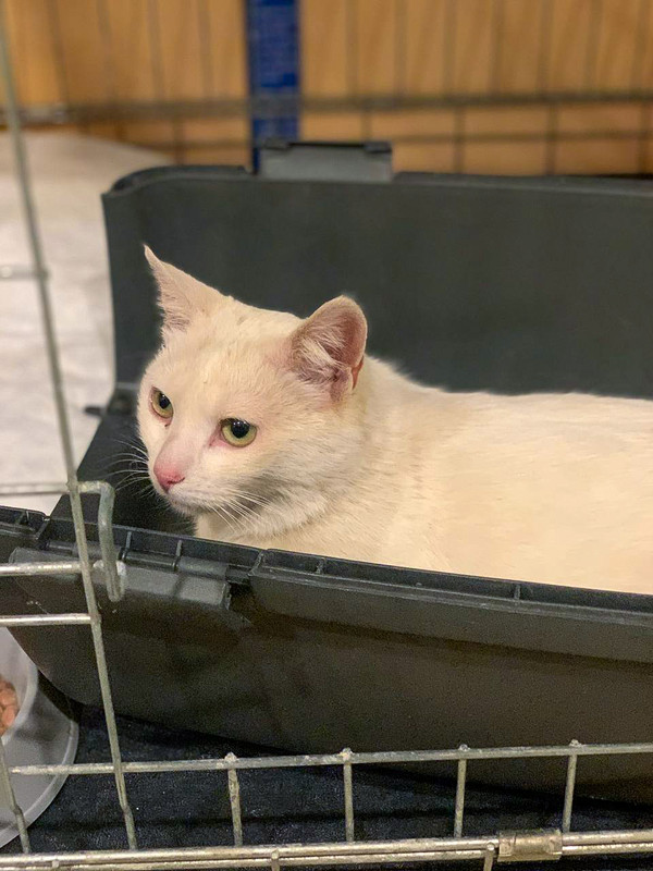 834CC5B0-C463-41EC-9472-601E8FA1845F