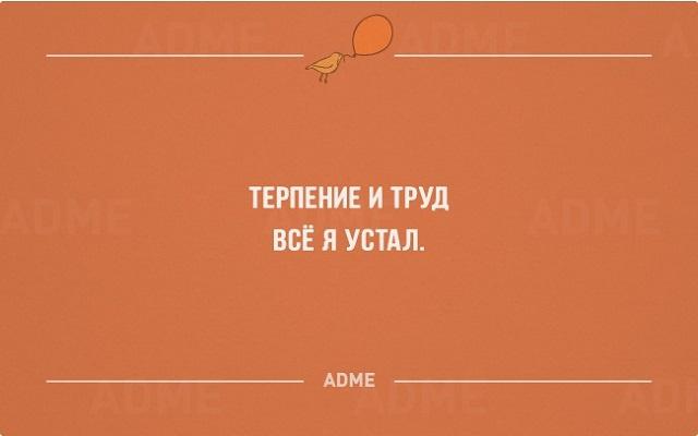 https://i.postimg.cc/TwhKS3N1/1419-54c20cd157dd3.jpg