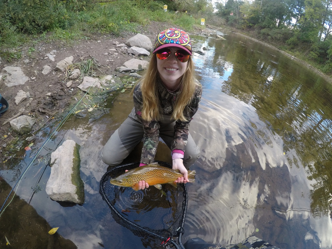 C8D313FB-900B-4986-A5EE-3BC2245EAB1B