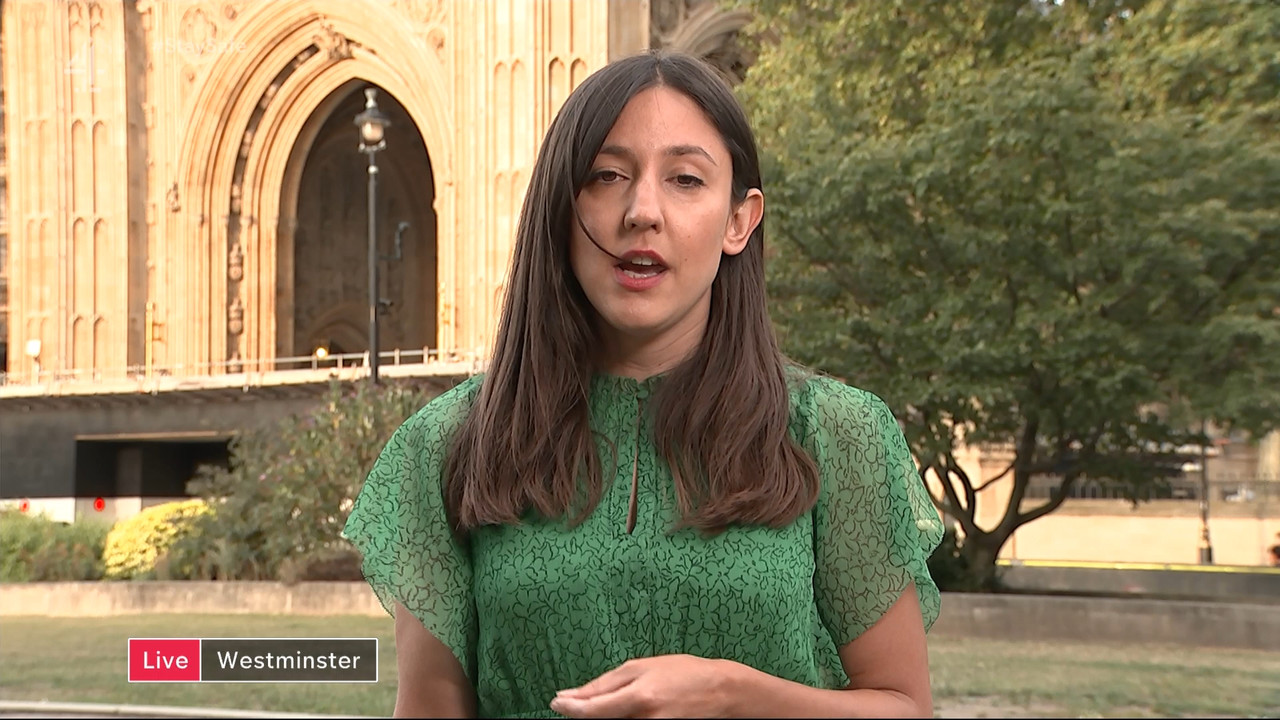 Channel 4 News_20200803_19001955.ts_snapshot_24.08.746