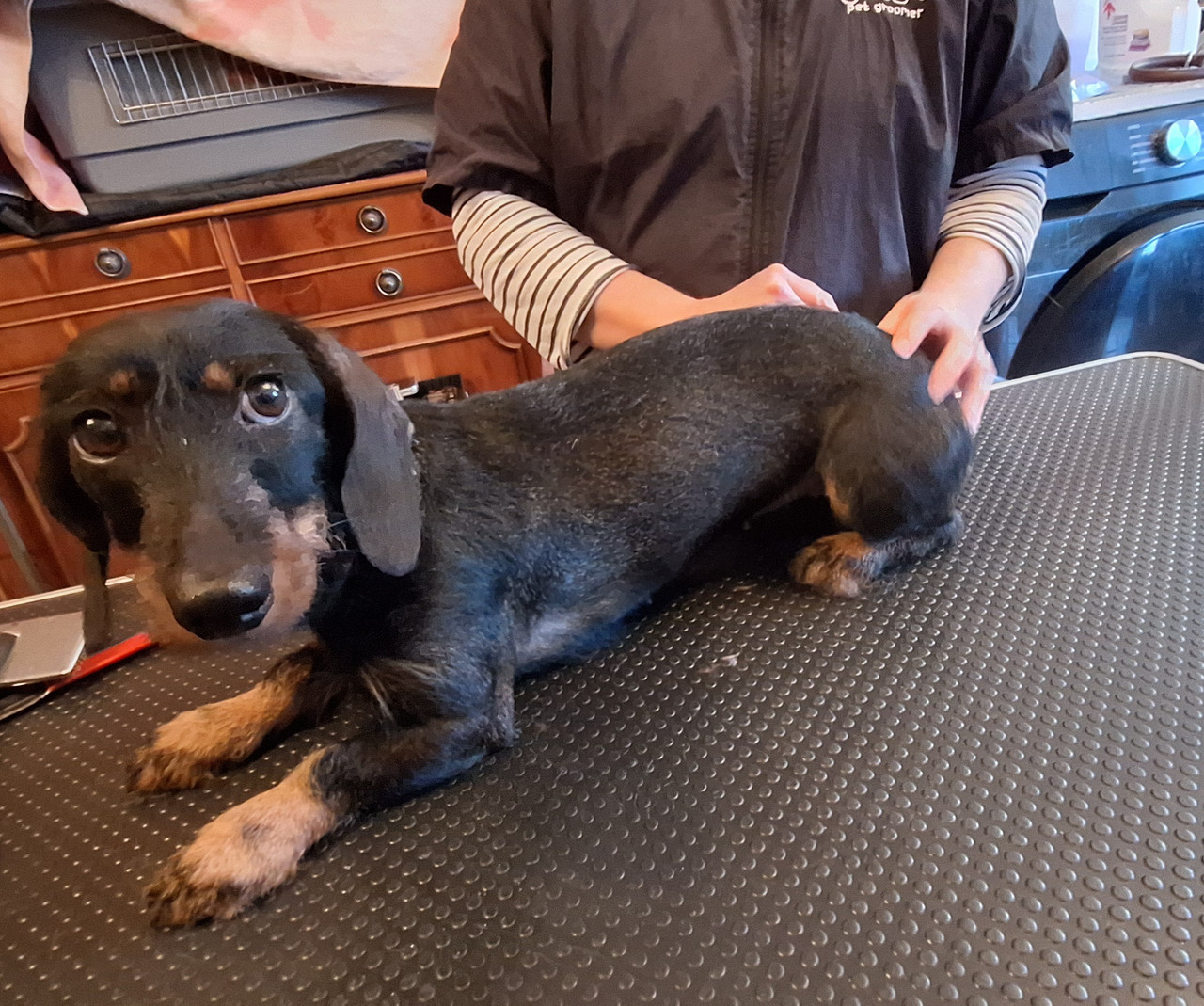 [Image: 20251217-154202.jpg]