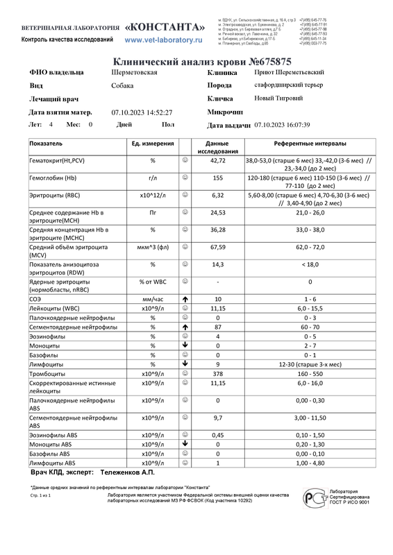 Клинический анализ крови (675875)