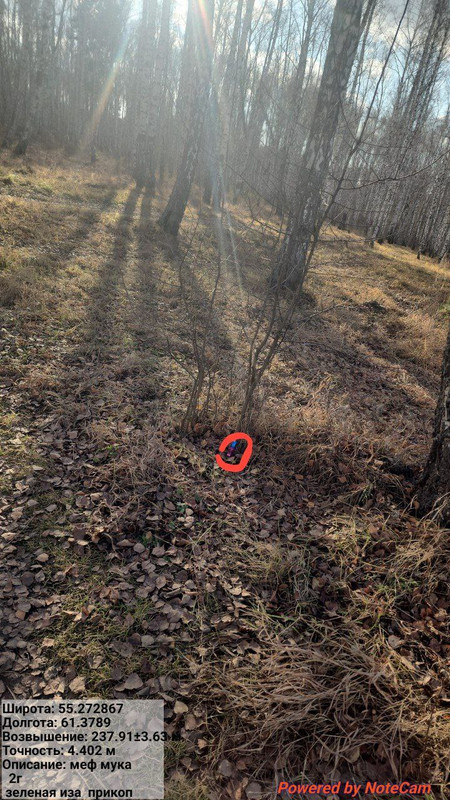 photo 4 2025 10 25 10 00 00