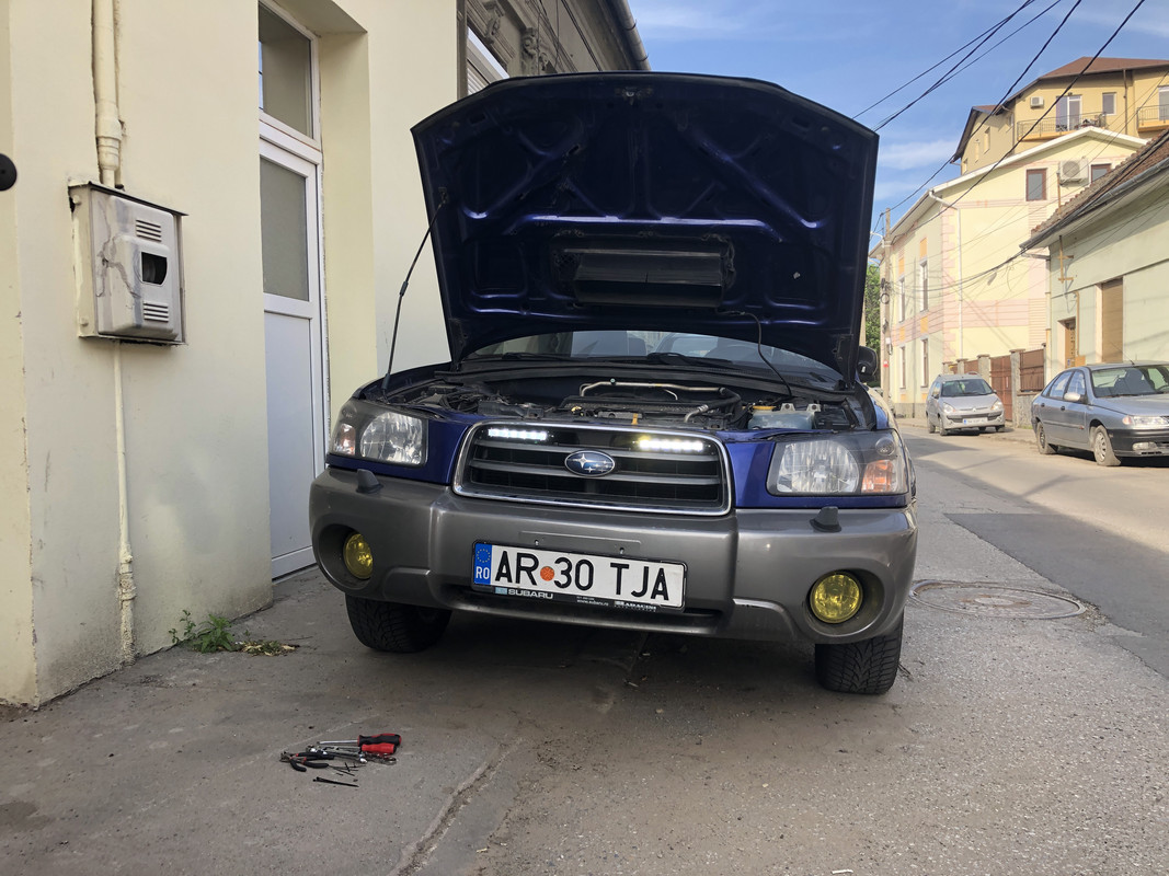 C2D1DF21-F1EE-4E1D-88E1-6D1C29BA2652