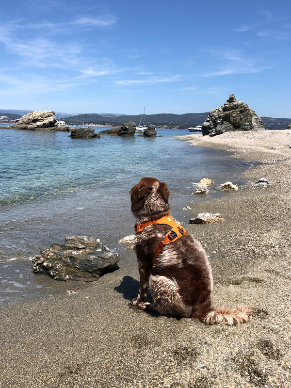 402E9E04-586C-43EE-99BE-BE231DAFABFB