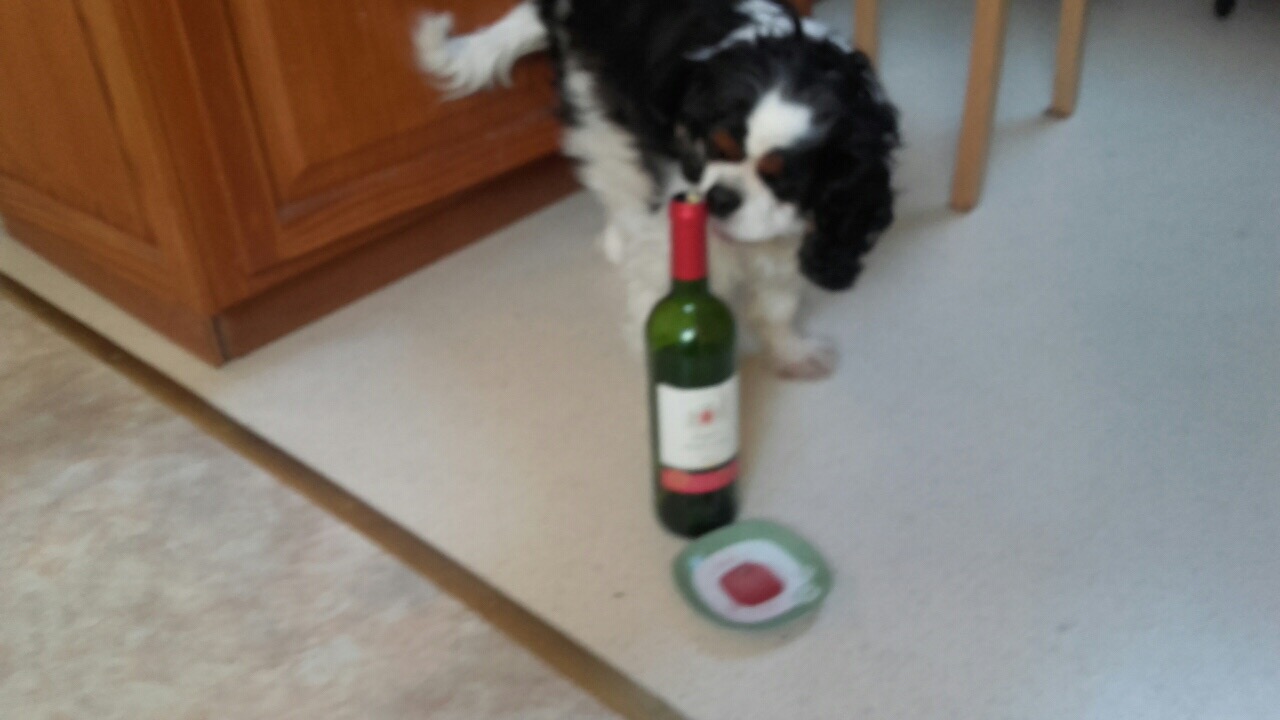 825E7A9A-557B-425B-BF26-6BCFF35904FD