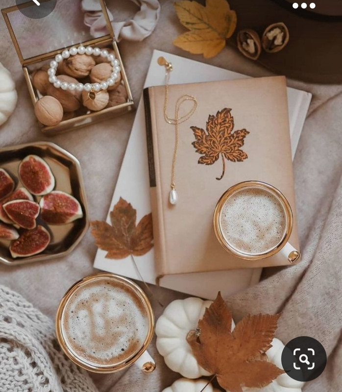 Screenshot_20231031_223340_Pinterest