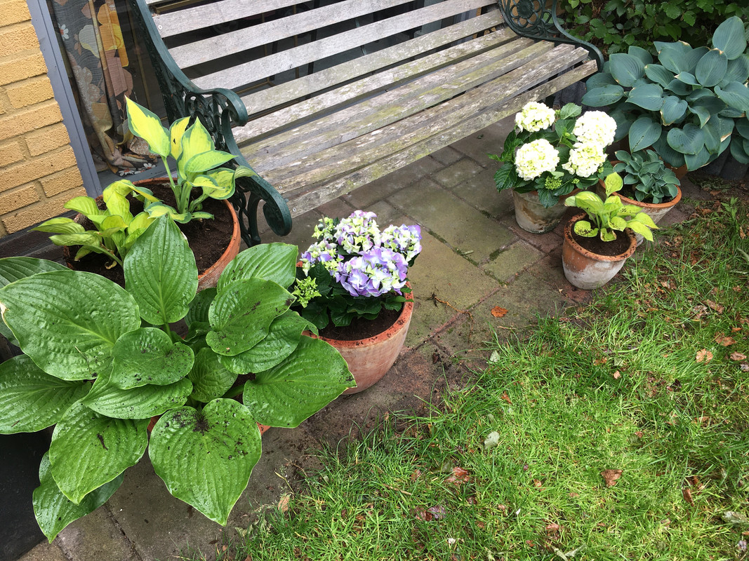 30D4CC0B-E42B-4302-B775-9932E9CD8F73