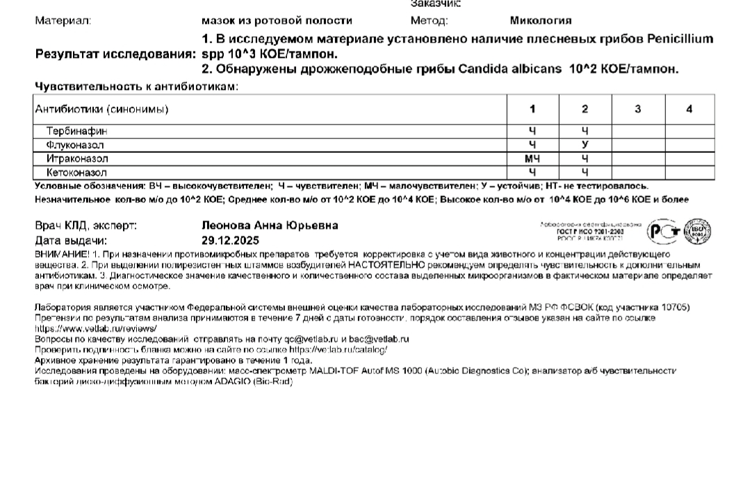 IMG 20260101 155712