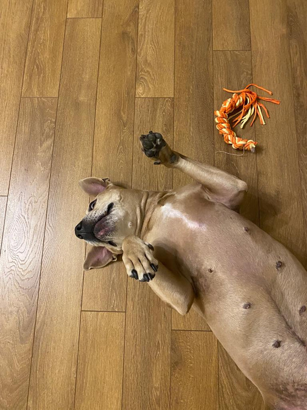 F99169D7-A6BB-4783-AF63-6E6DB2EB4EB5