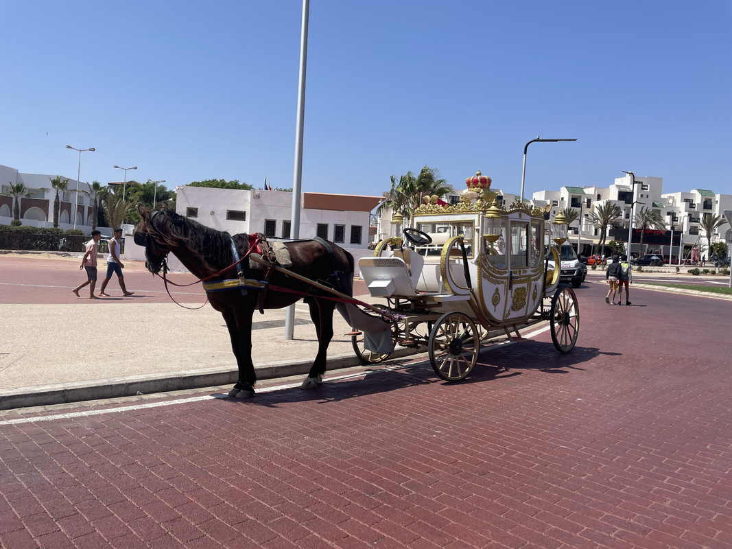 Agadir - Blogs of Morocco - Que visitar en Agadir (76)