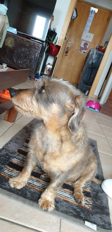 [Image: 183040406-378730663400810-5021944908754311198-n.jpg]