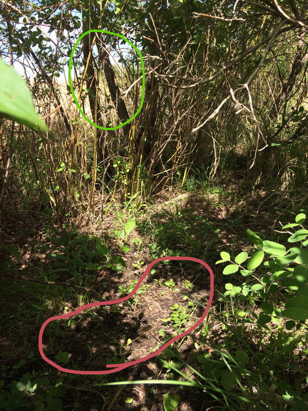 A24FD026-0166-4FCD-86E2-D9F4790BC403