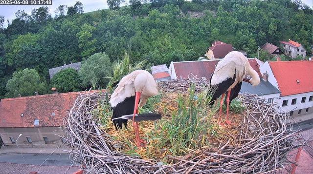 Przechwytywanie w trybie pełnoekranowym 08.06.2025 194837