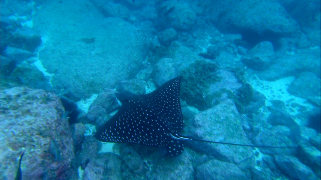 vlcsnap-2024-02-15-20h46m38s740