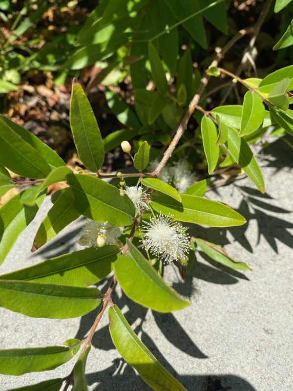 DF879411-2974-4BFD-9783-13C51C4FA30E