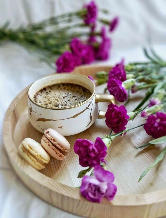 356091835_587405363508881_1782013819900659315_n