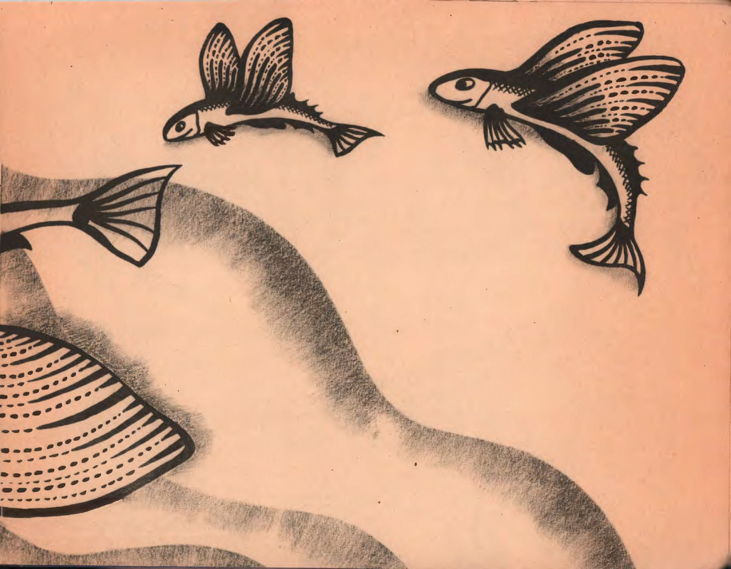 Шульжик В. - Голубая бухта - 1970_page-0013