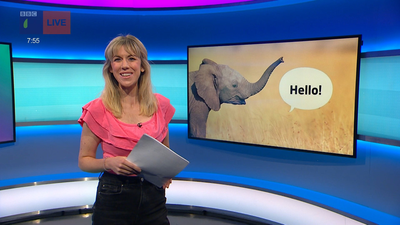 Newsround_20211108_07450755.ts_snapshot_11.57.015