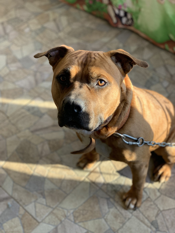 183A0958-2476-4EE2-A5CA-9C006E9159FE