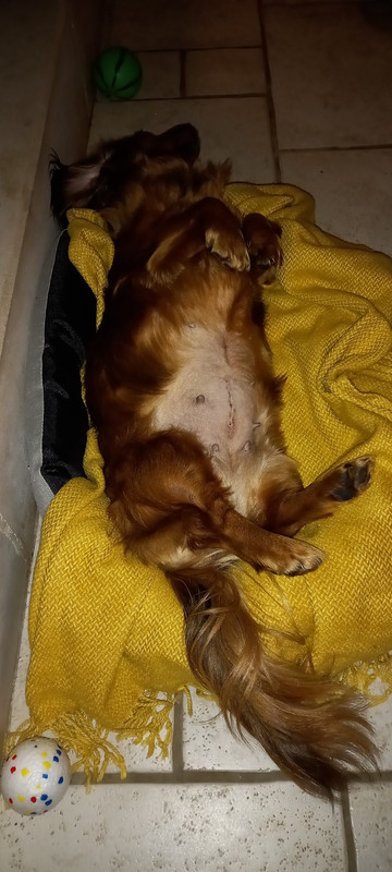 [Image: 20241024-201214.jpg]