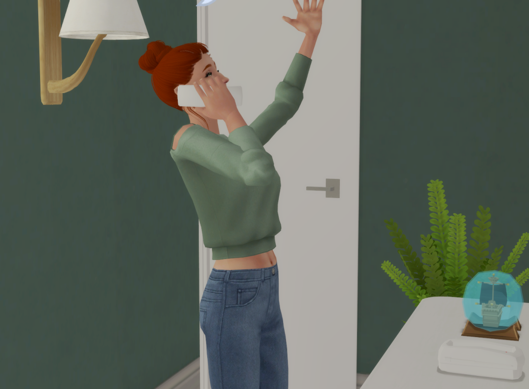 Sims2-EP9-RPC-2024-12-09-13-44-03-73
