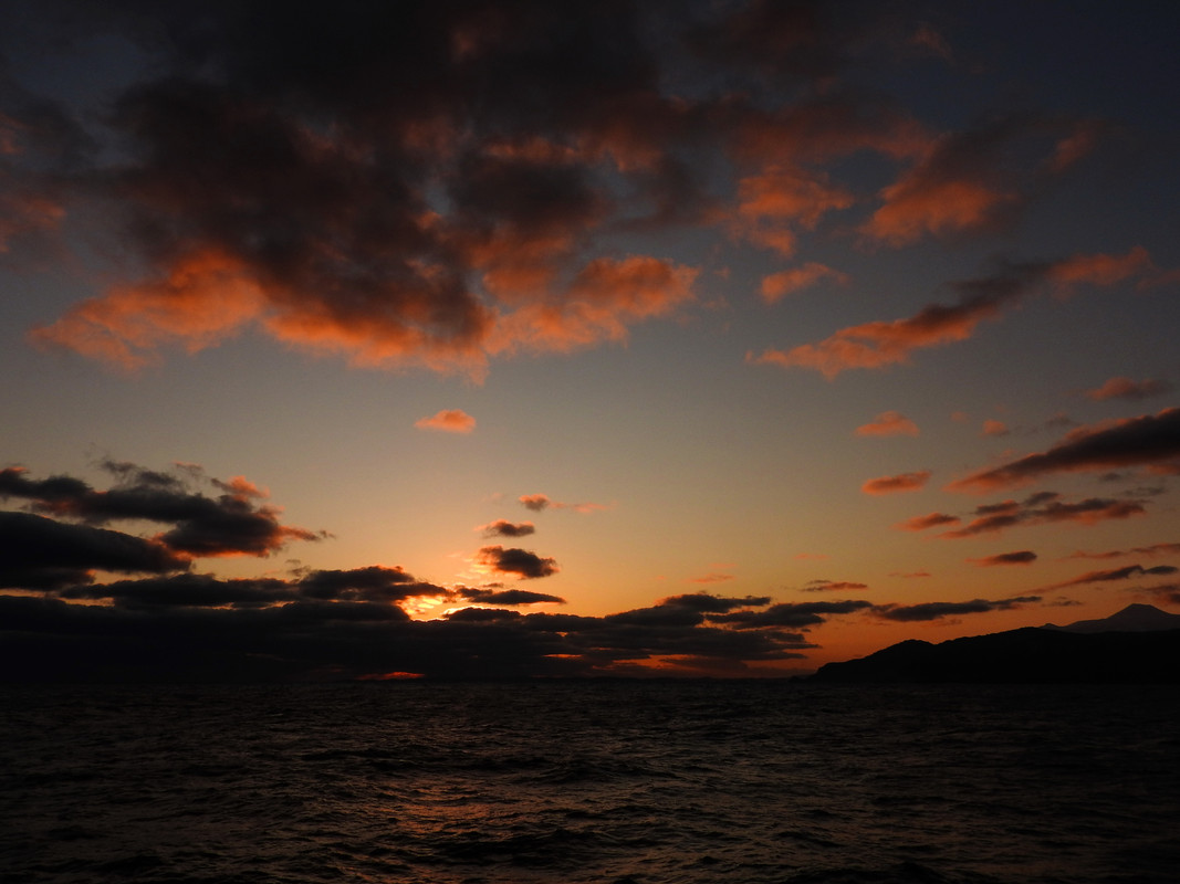 DSCN6482.jpg