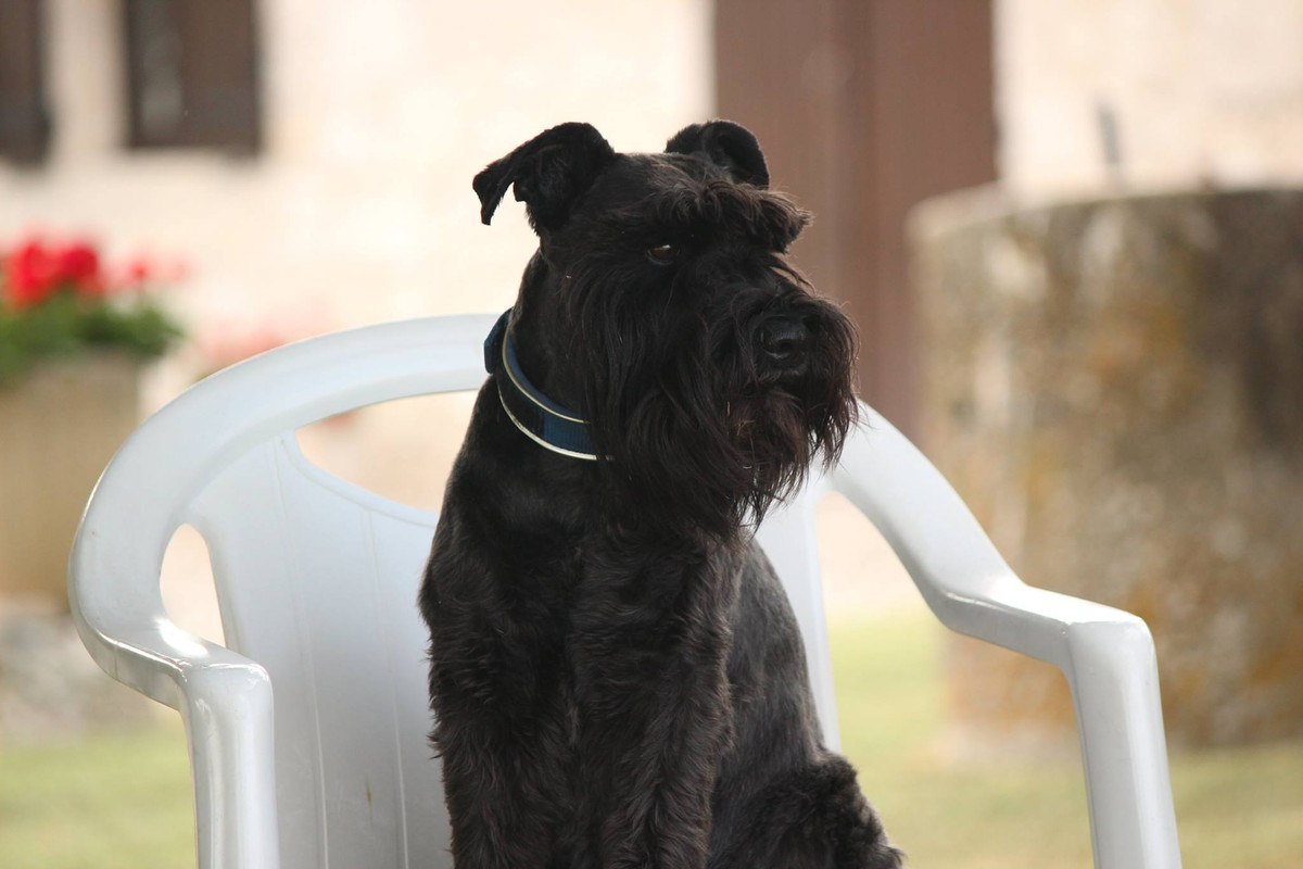 472205110_10162866435041972_6617823917399718479_n