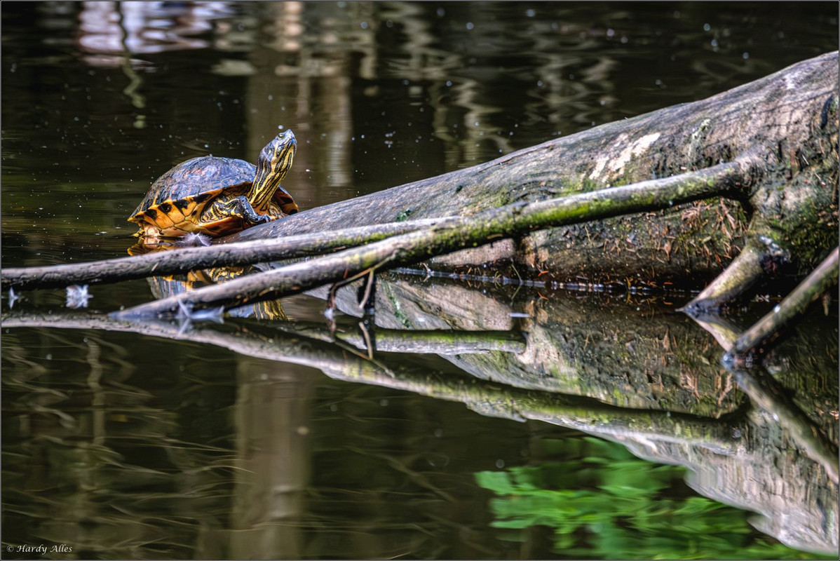 XT4H8661-Verbessert-RR 2024 Tannenweg LR ERWZ FB