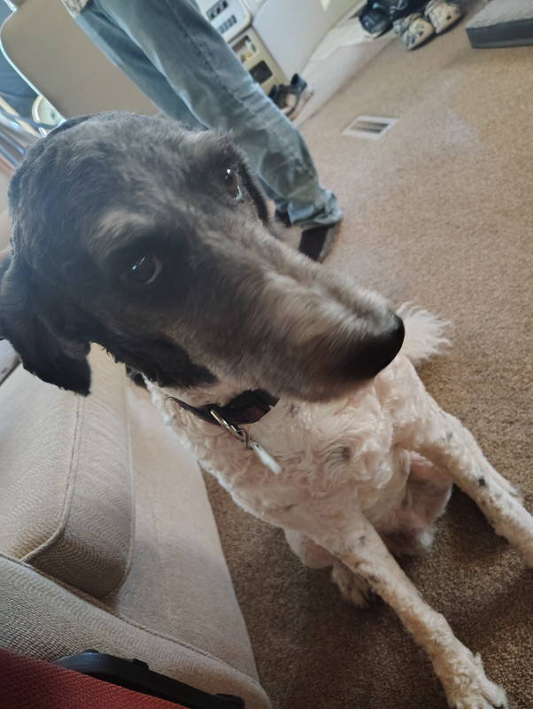 IMG_20250919_094650545_HDR