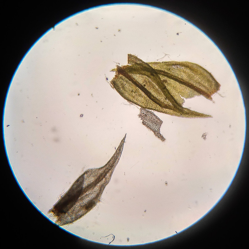 IMG 20250615 221002 HDR