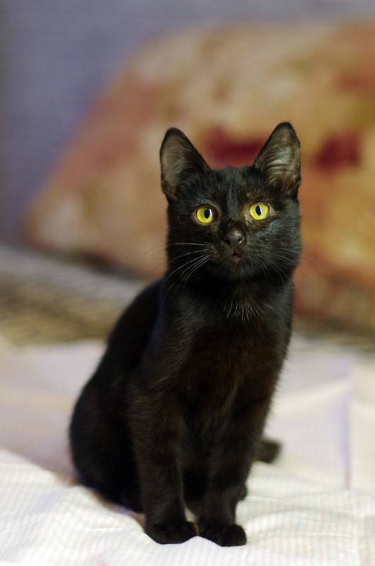 9B0C61AF-0DCE-40F8-A79A-BC0552F513FD