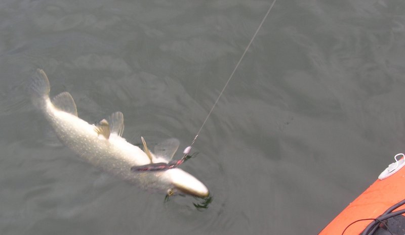 2,2 джиг спиннинг судак щука мастер-класс Куляпин Андрей катушка приманка окунь (2 1)