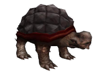 giant turtoise