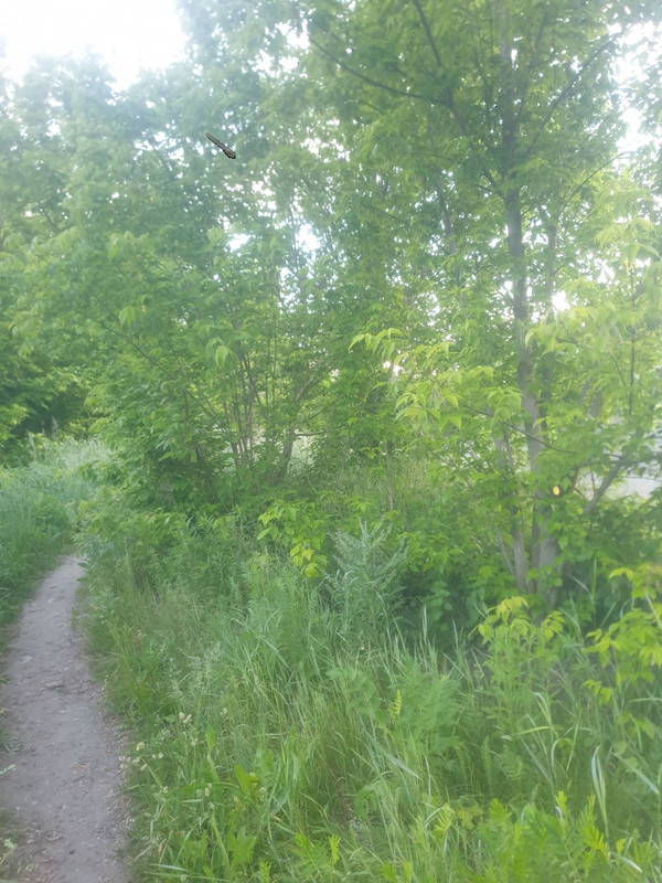 photo 2026 05 30 04 55 31