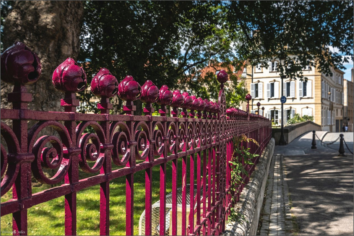 0XT26118 2019 Metz LR ERWZ FB