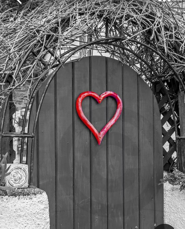 Screenshot_20230514_131131_Pinterest