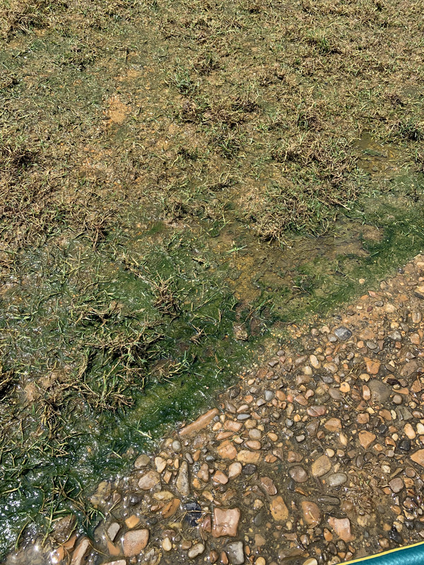 2EF2A4F3-E746-4E5E-A88B-EAEC44E752D8