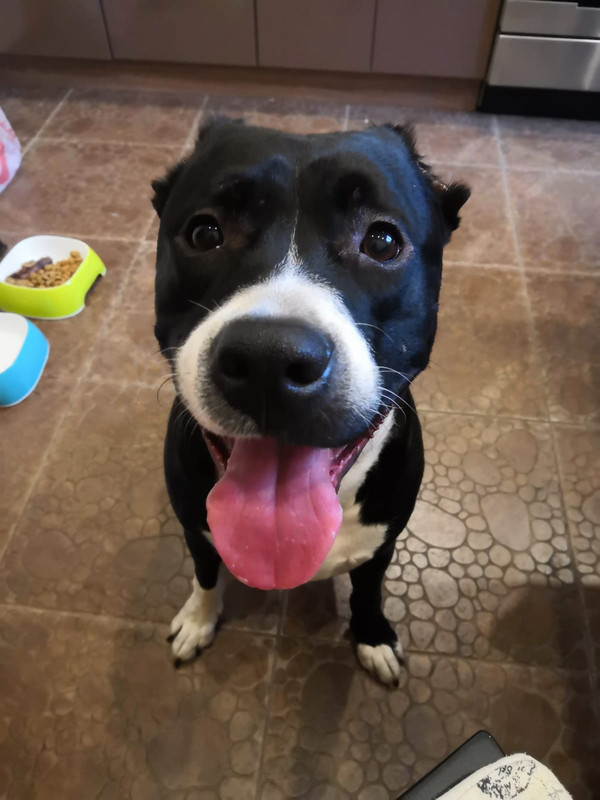 9428D97A-C70B-4BF8-850B-74E8D8E34330