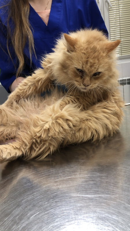 7C87DAD7-BE18-4648-9023-70CD588BCF42