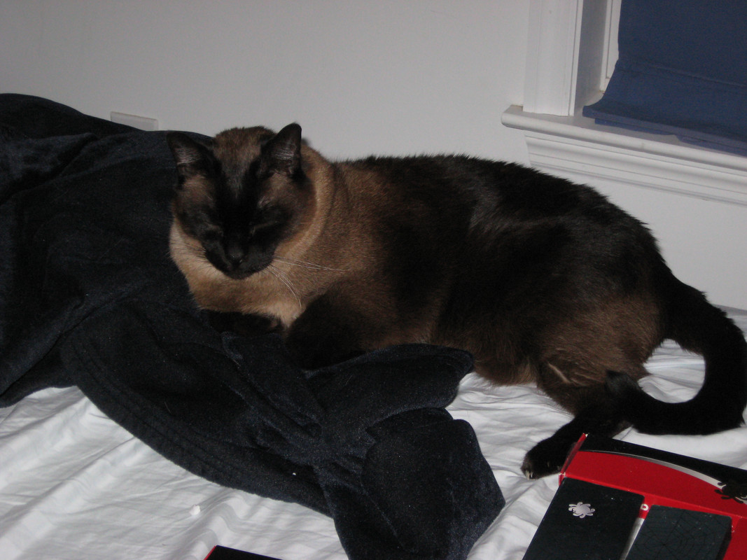 170AC320-1C69-4365-96F4-F2409A6D5358