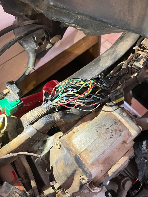 DUCATI Image 2023-03-17 at 09.52.15 (1)