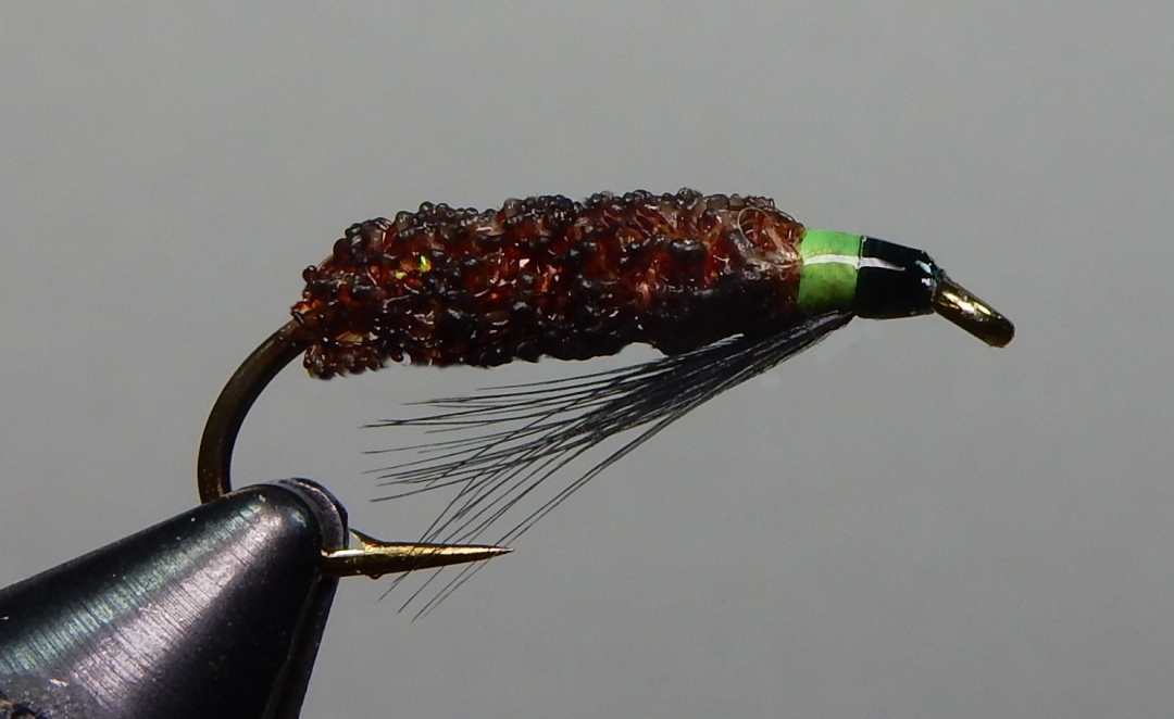 Melted-Cased-Caddis-2-1080.jpg Melted-Cased-Caddis-2-1080.jpg
