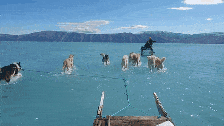 GIFs-24