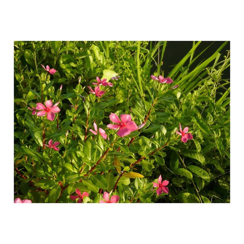 photo 8 2026 01 10 16 02 59