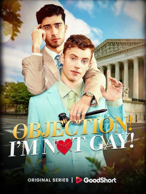 Objection-I-am-not-gay-1