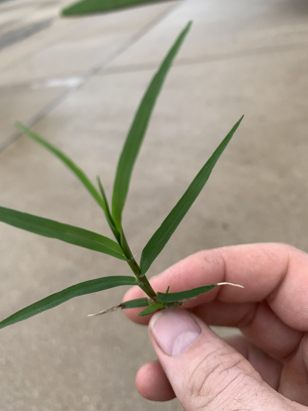 5CF738B9-E1CA-42BF-A9F2-8D8CB6EEAA3D