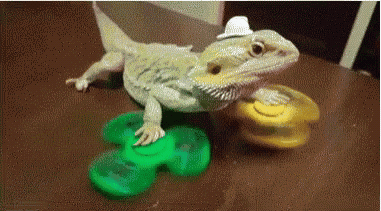 easy gif1553935466260