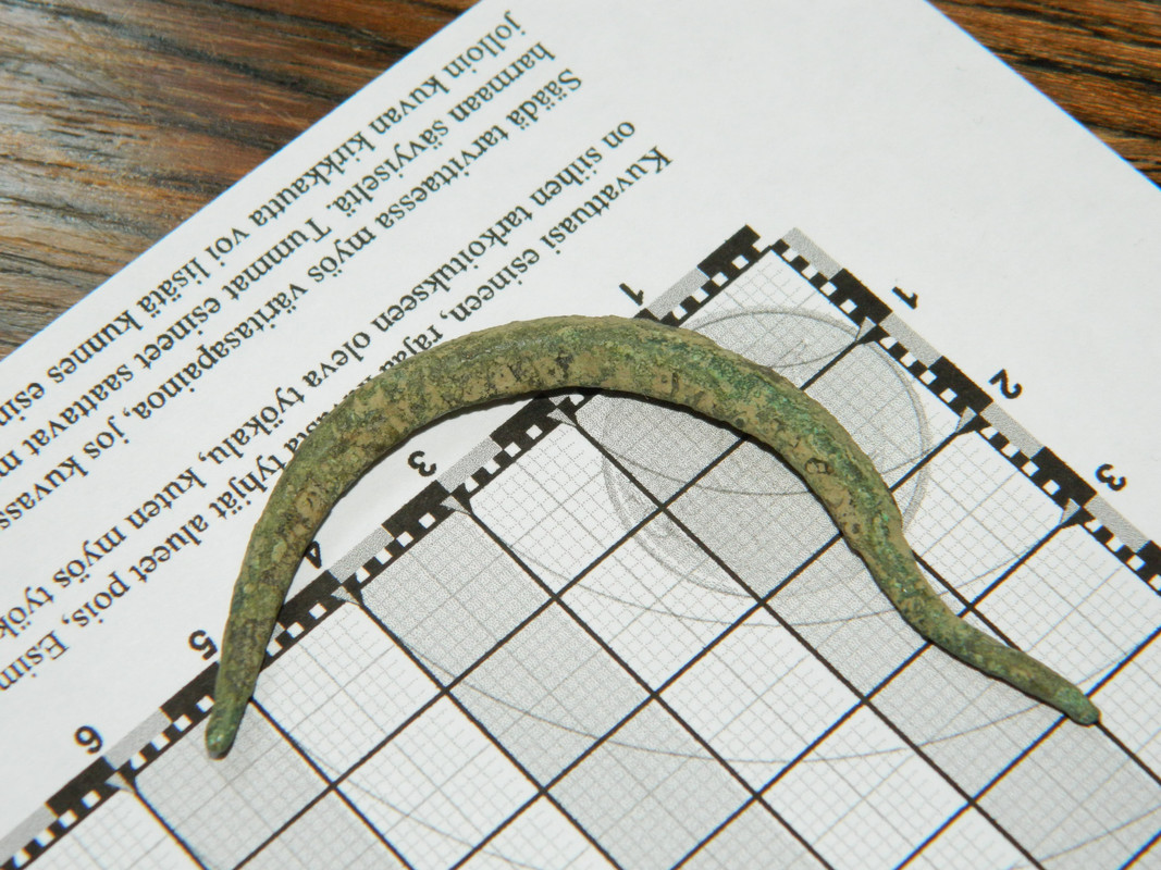 hevoskenkäkupura 017